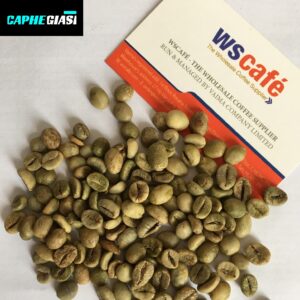 Cà phê nhân robusta chế biến ướt