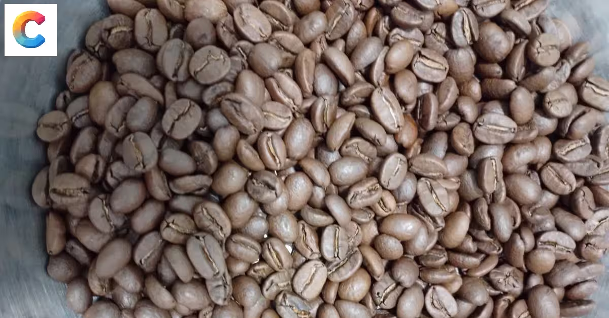 cà phê hạt rang arabica caphegiasi