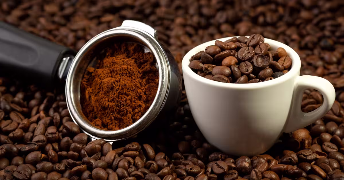 cà phê hạt rang robusta