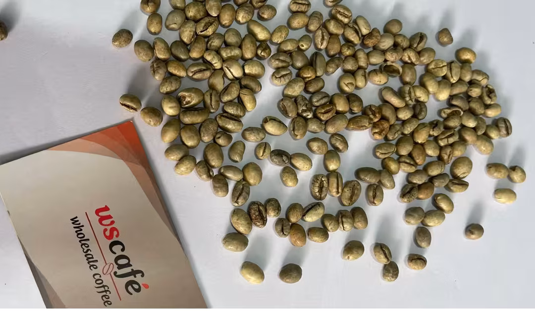 Cà phê robusta là gì?
